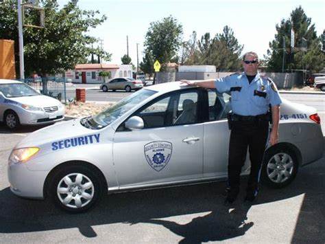 How Can Security Patrols Help Create a Safe Environment?