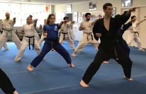 Martial arts for the optimal choice of exercise       